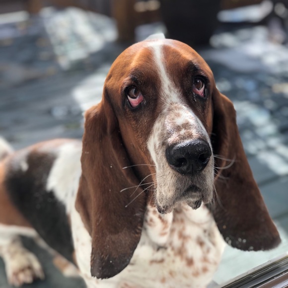 Custom Line Art - Picture 2 of 2